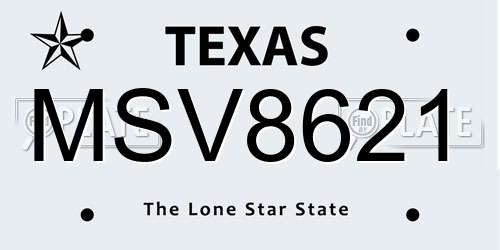 MSV8621 Texas License Plate