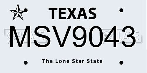 MSV9043 Texas License Plate