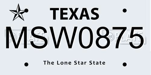 MSW0875 Texas License Plate