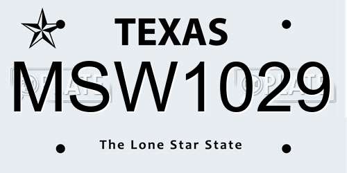 MSW1029 Texas License Plate