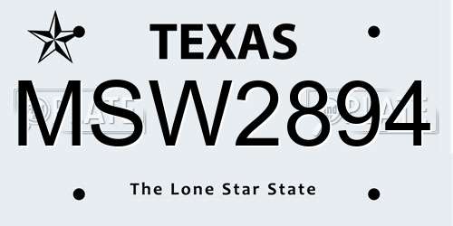 MSW2894 Texas License Plate