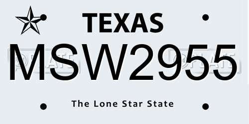 MSW2955 Texas License Plate