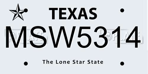 MSW5314 Texas License Plate