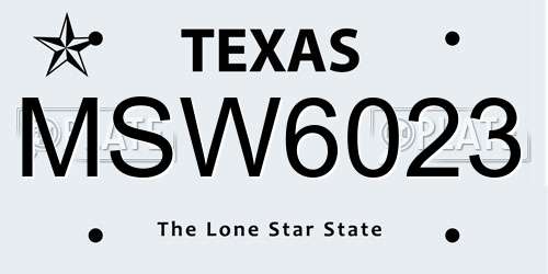 MSW6023 Texas License Plate