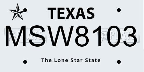 MSW8103 Texas License Plate