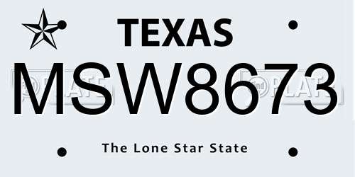 MSW8673 Texas License Plate