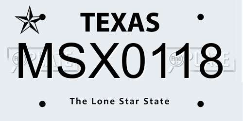 MSX0118 Texas License Plate