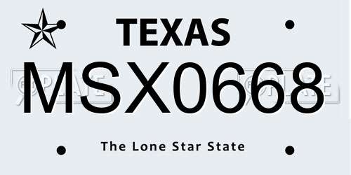 MSX0668 Texas License Plate