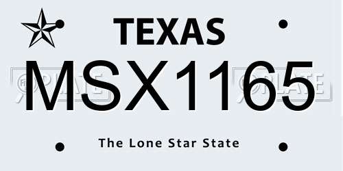 MSX1165 Texas License Plate