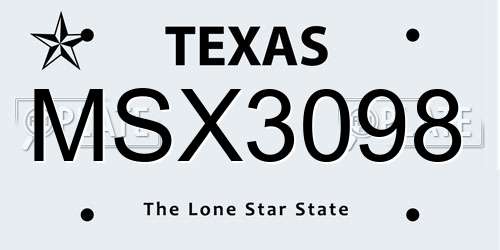 MSX3098 Texas License Plate