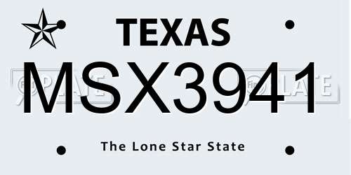 MSX3941 Texas License Plate