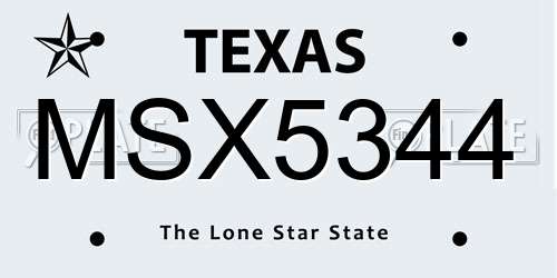 MSX5344 Texas License Plate
