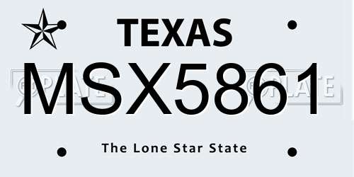 MSX5861 Texas License Plate