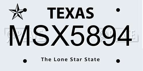 MSX5894 Texas License Plate