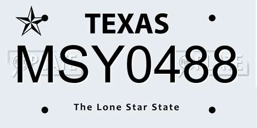 MSY0488 Texas License Plate