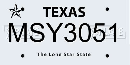 MSY3051 Texas License Plate