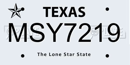 MSY7219 Texas License Plate