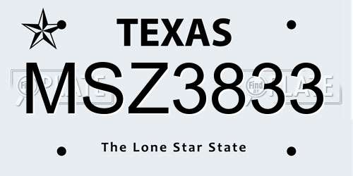 MSZ3833 Texas License Plate