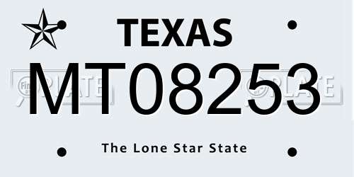 MT08253 Texas License Plate