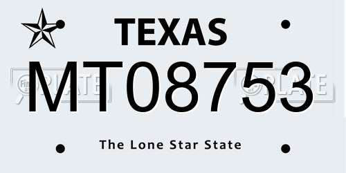 MT08753 Texas License Plate