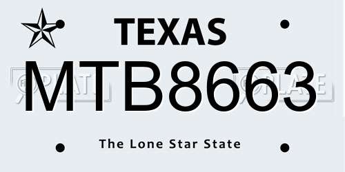 MTB8663 Texas License Plate