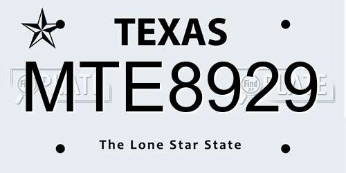 MTE8929 Texas License Plate