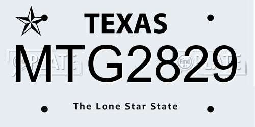 MTG2829 Texas License Plate