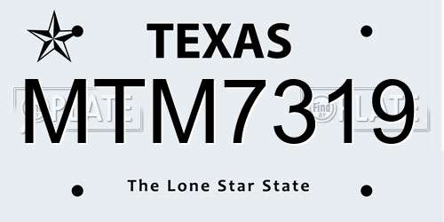 MTM7319 Texas License Plate
