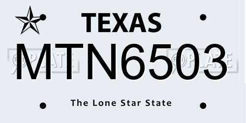 MTN6503 Texas License Plate