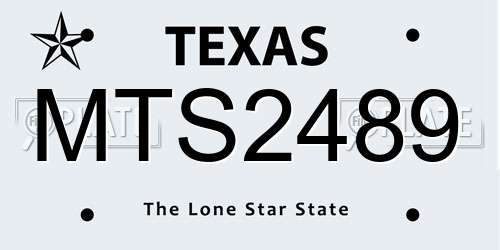 MTS2489 Texas License Plate