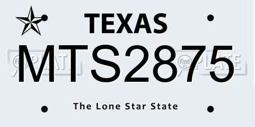MTS2875 Texas License Plate