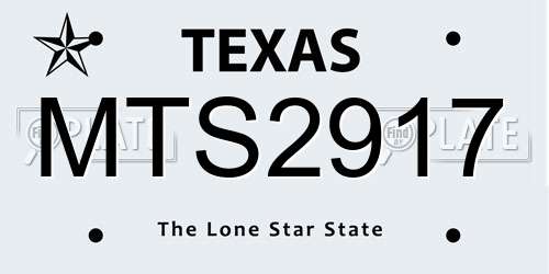 MTS2917 Texas License Plate