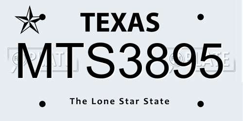 MTS3895 Texas License Plate