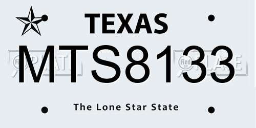 MTS8133 Texas License Plate