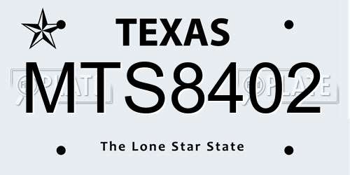 MTS8402 Texas License Plate
