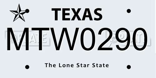 MTW0290 Texas License Plate