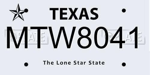 MTW8041 Texas License Plate