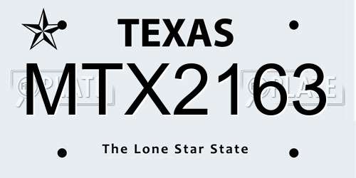 MTX2163 Texas License Plate