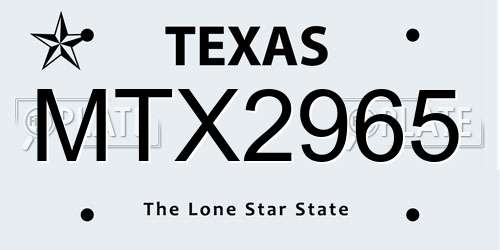 MTX2965 Texas License Plate