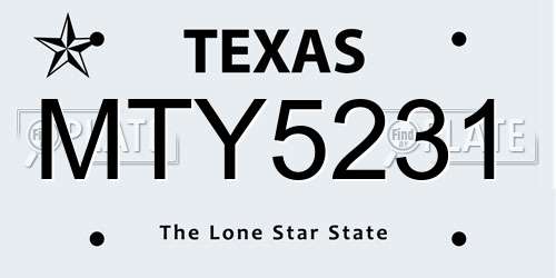 MTY5231 Texas License Plate