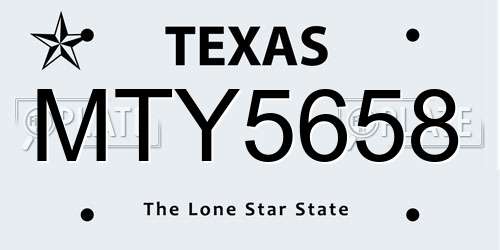 MTY5658 Texas License Plate