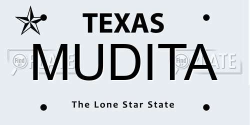 MUDITA Texas License Plate