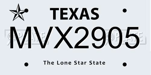 MVX2905 Texas License Plate