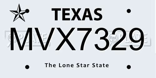 MVX7329 Texas License Plate