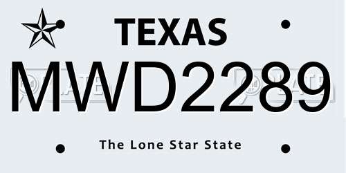 MWD2289 Texas License Plate