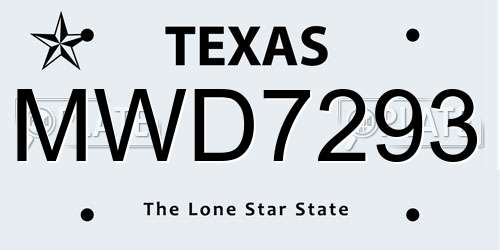 MWD7293 Texas License Plate