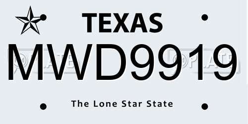 MWD9919 Texas License Plate