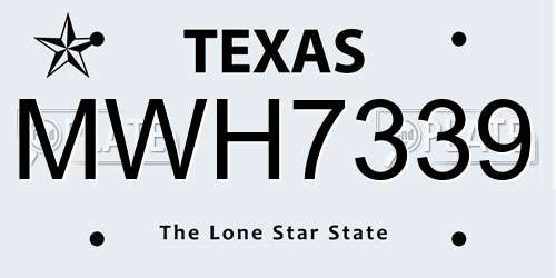 MWH7339 Texas License Plate