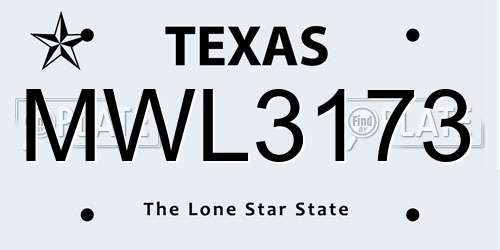 MWL3173 Texas License Plate