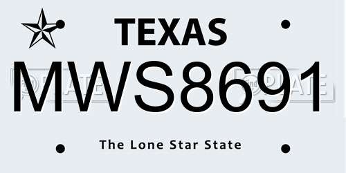 MWS8691 Texas License Plate
